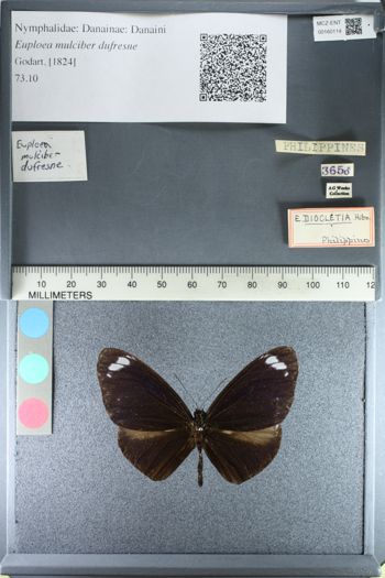 Media type: image;   Entomology 160114